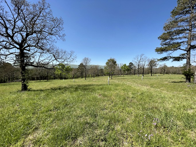Vacation Rentals (United States of America, Hodgen, Oklahoma)