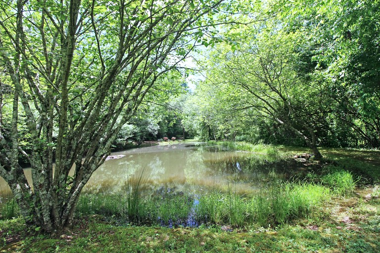 Safari Tents (United States of America, Copperhill, Tennessee)