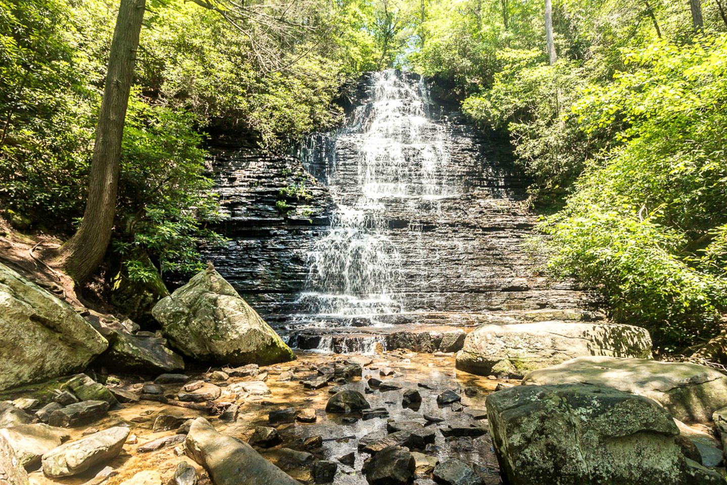 Elegant Copperhill Accommodation Perfect for Luxury Camping in Tennessee