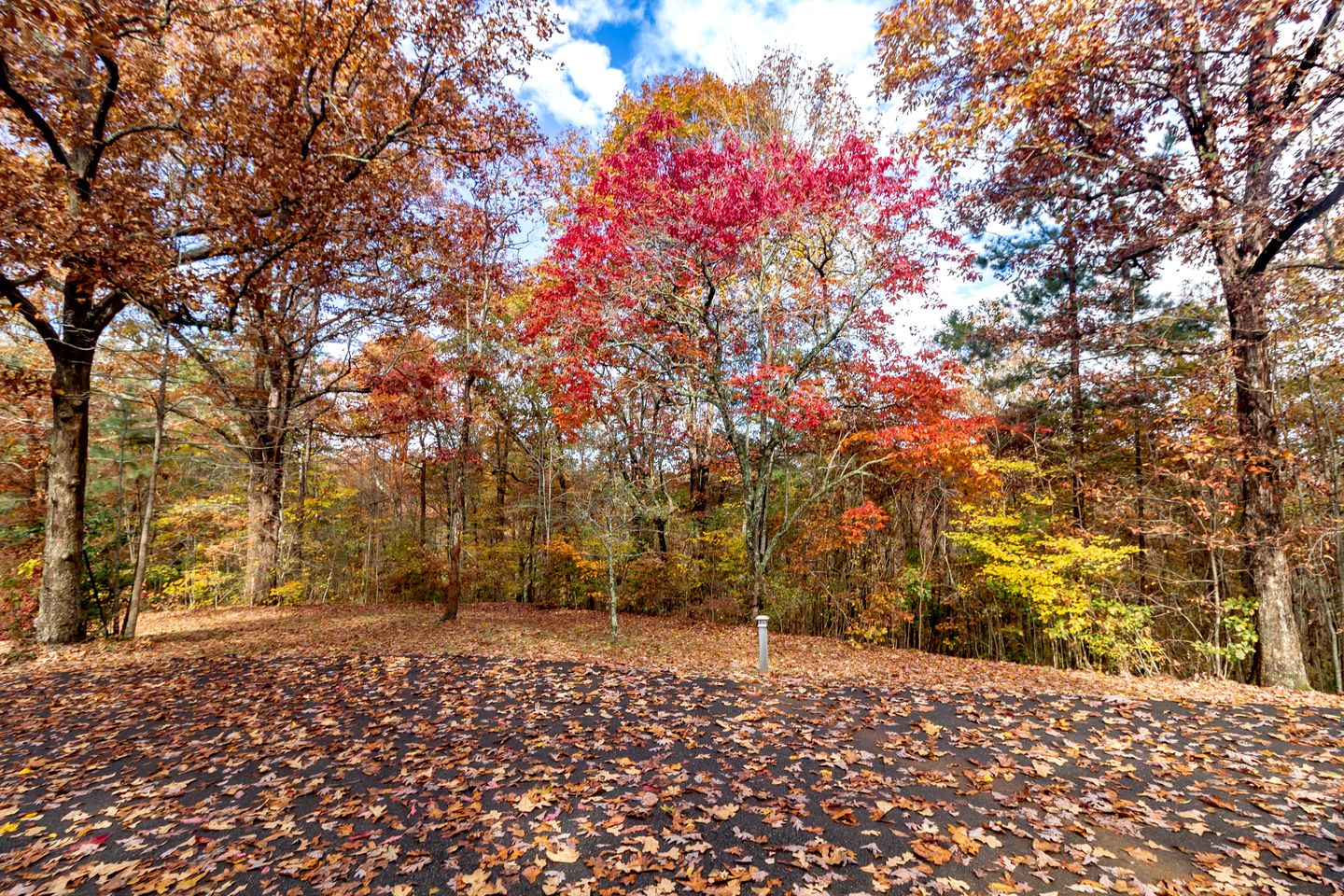 Lovely Copperhill Cabin Rental for a Tennessee Vacation