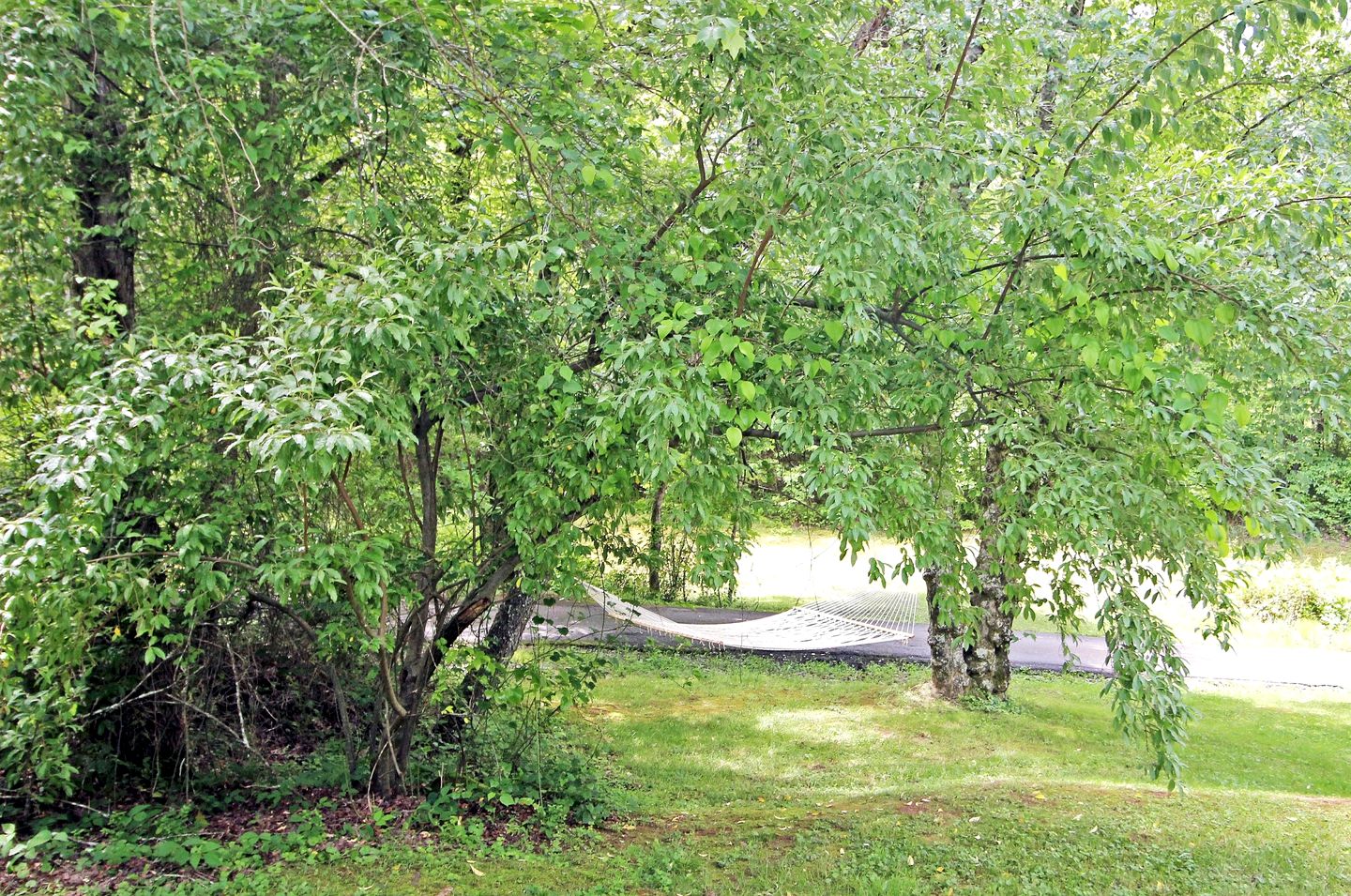Lovely Copperhill Cabin Rental for a Tennessee Vacation