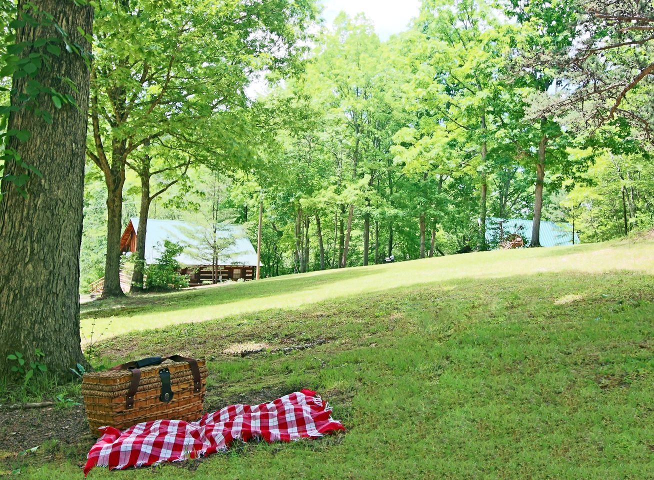 Lovely Copperhill Cabin Rental for a Tennessee Vacation