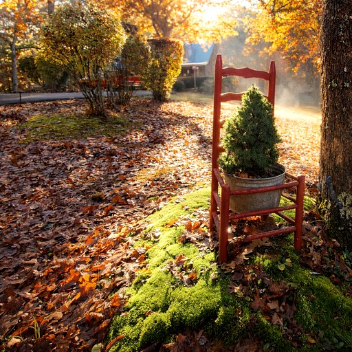 Cabins (United States of America, Copperhill, Tennessee)