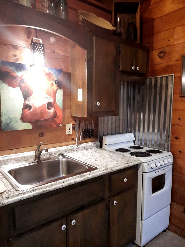 Lovely Copperhill Cabin Rental for a Tennessee Vacation