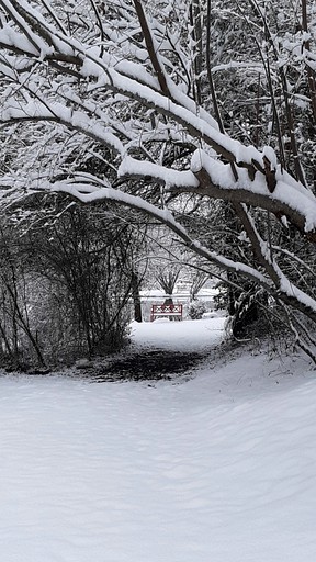 Cabins (United States of America, Copperhill, Tennessee)