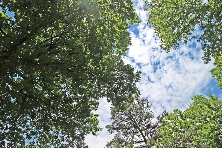 Cabins (United States of America, Copperhill, Tennessee)