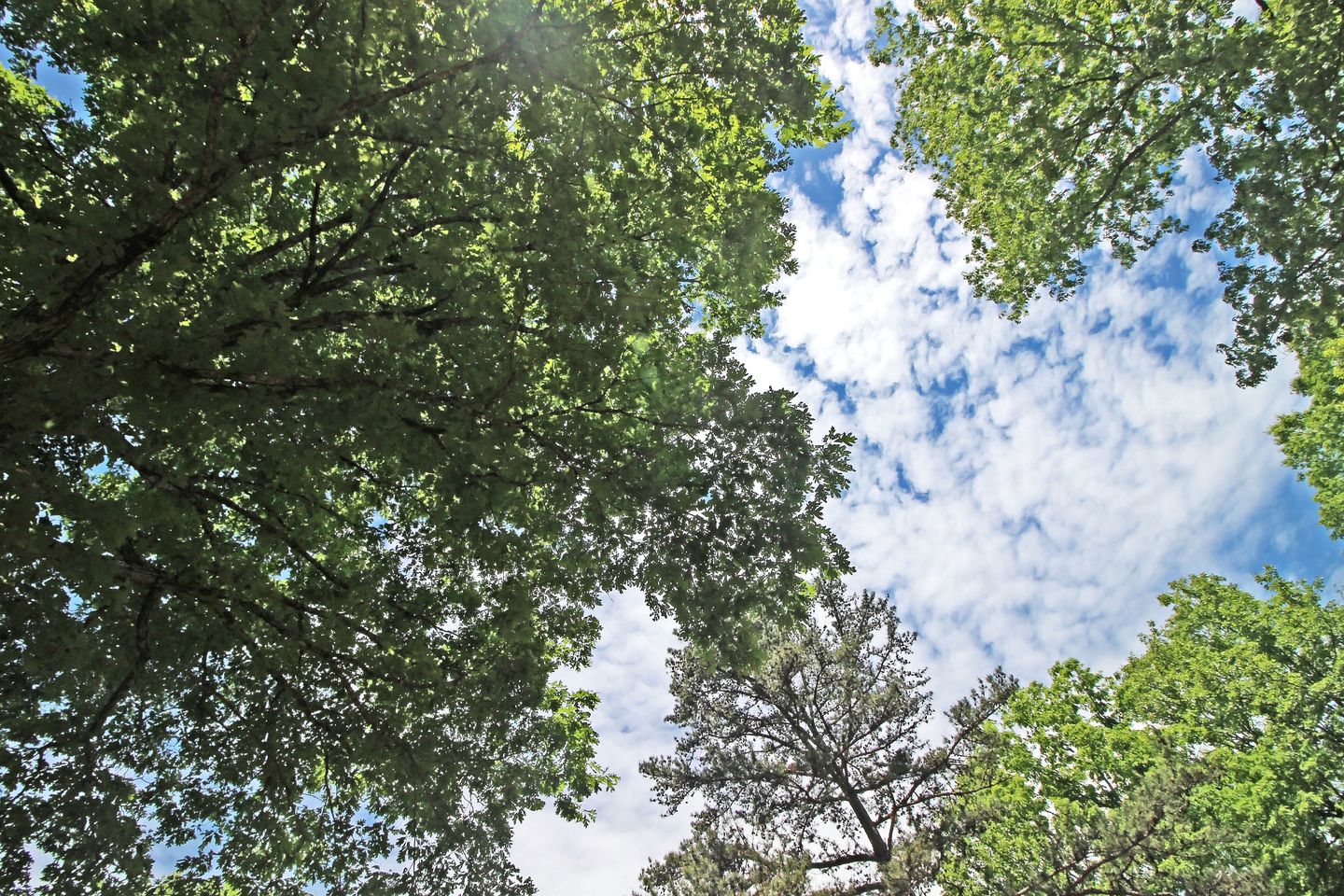 Rustic Copperhill Cabin Perfect for a Romantic Getaway in Tennessee