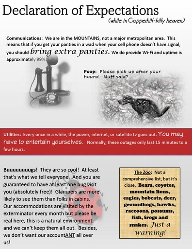 Cabins (United States of America, Copperhill, Tennessee)