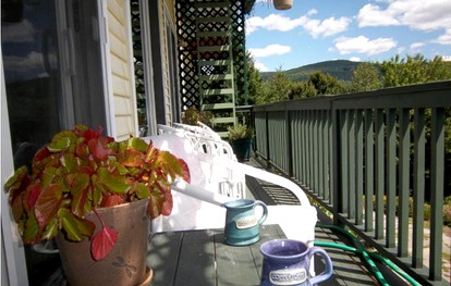 undefined photo 4
