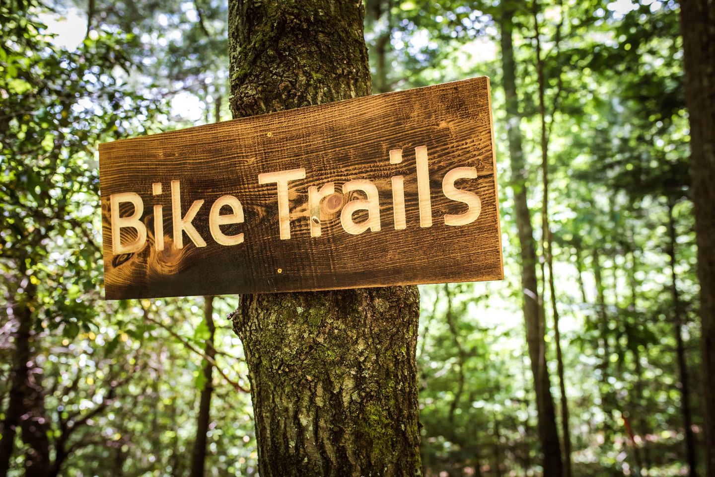 Unique Barnwood Cabin Retreat with Fire Pit and Outdoor Adventure in Zirconia, North Carolina