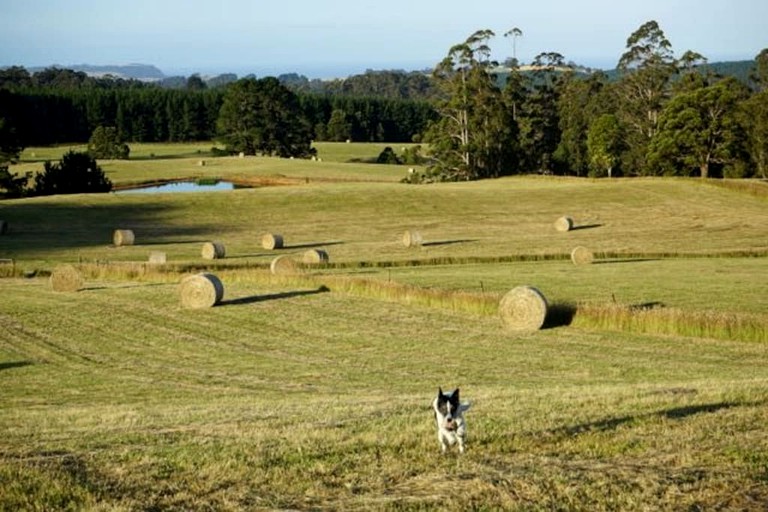 Cottages (Wynyard, Tasmania, Australia)