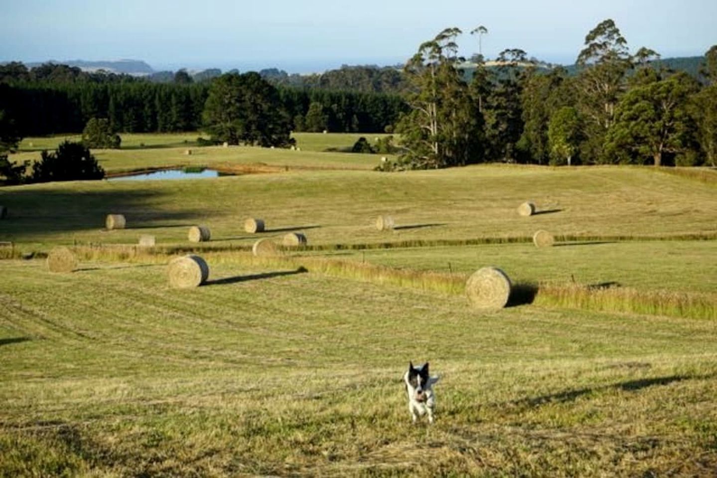Idyllic Cottage Rental for a Farm Stay near Wynyard, Tasmania
