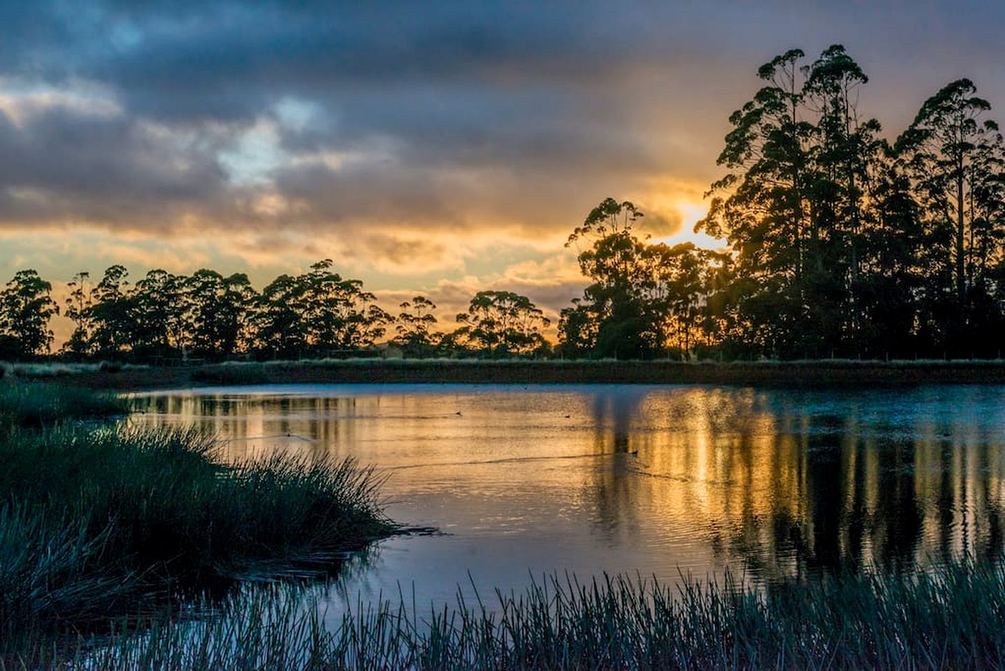Idyllic Cottage Rental for a Farm Stay near Wynyard, Tasmania