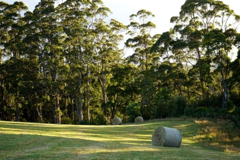 Cottages (Wynyard, Tasmania, Australia)