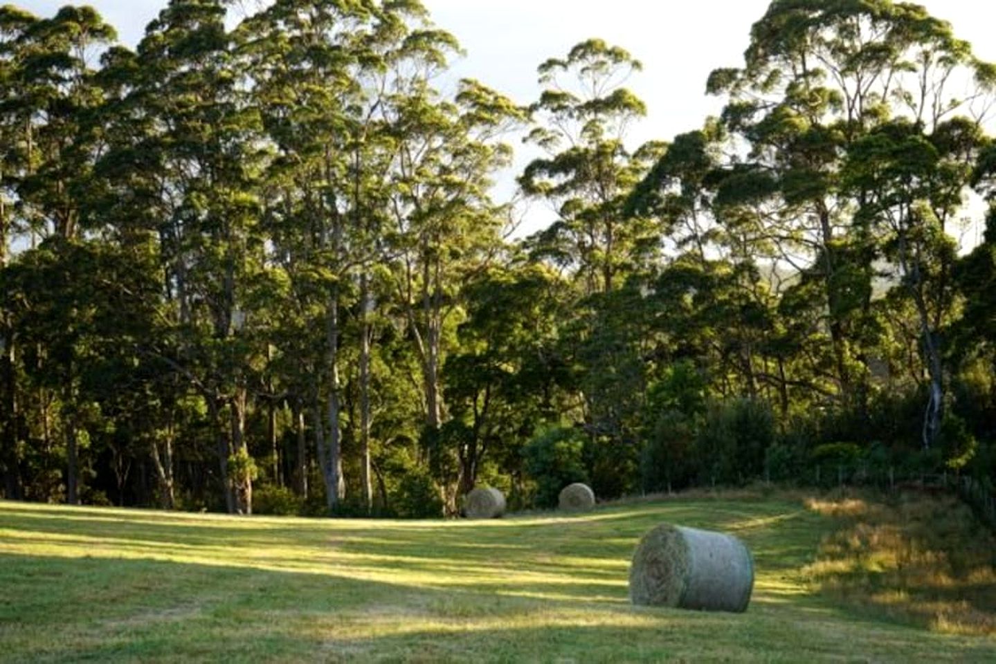 Idyllic Cottage Rental for a Farm Stay near Wynyard, Tasmania