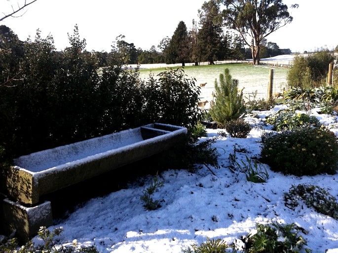 Cottages (Wynyard, Tasmania, Australia)