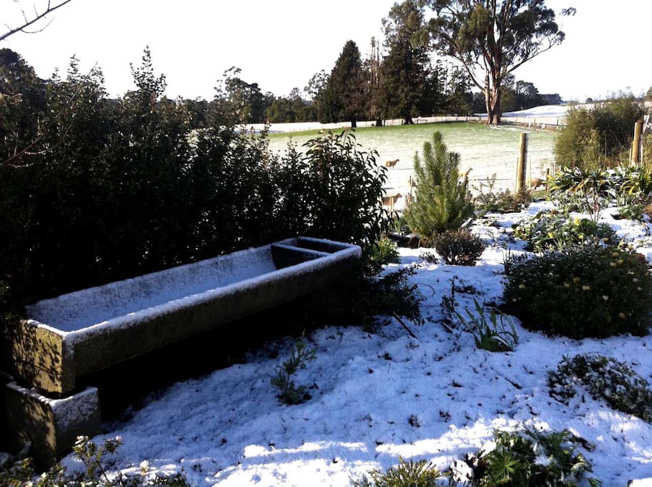 Idyllic Cottage Rental for a Farm Stay near Wynyard, Tasmania
