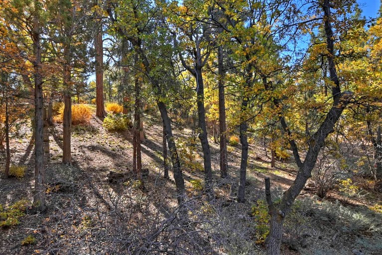 Cabins (United States of America, San Bernardino, California)