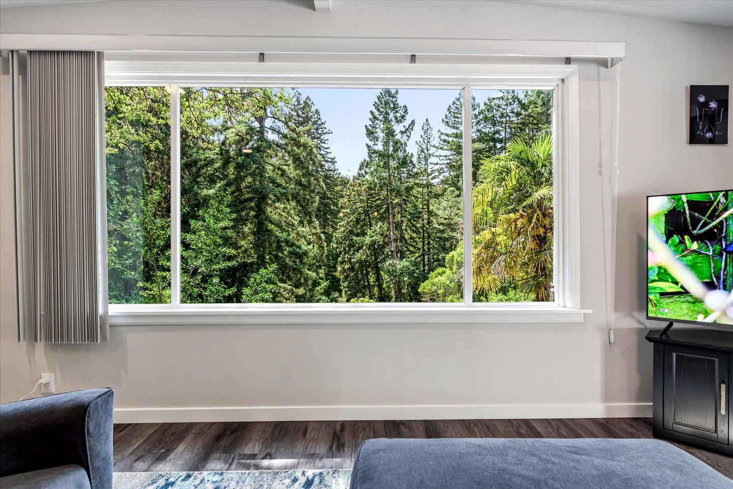 Gorgeous Cabin with Bocce Ball, Hot-tub and Fire Pit in Forestville, California
