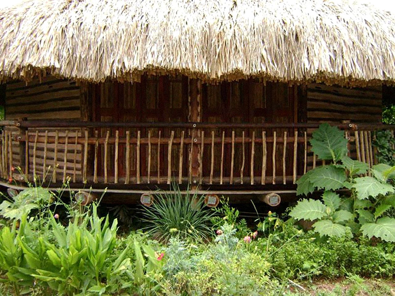 Cabana Rental at Wellness Retreat in Meta Region of Colombia