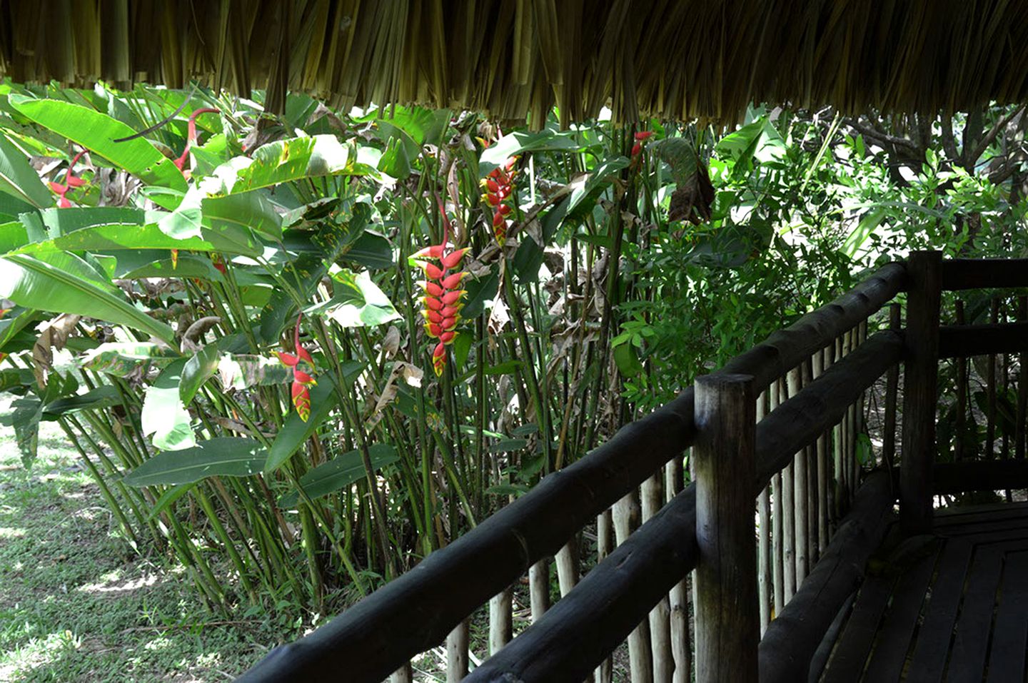 Cabana Rental at Wellness Retreat in Meta Region of Colombia