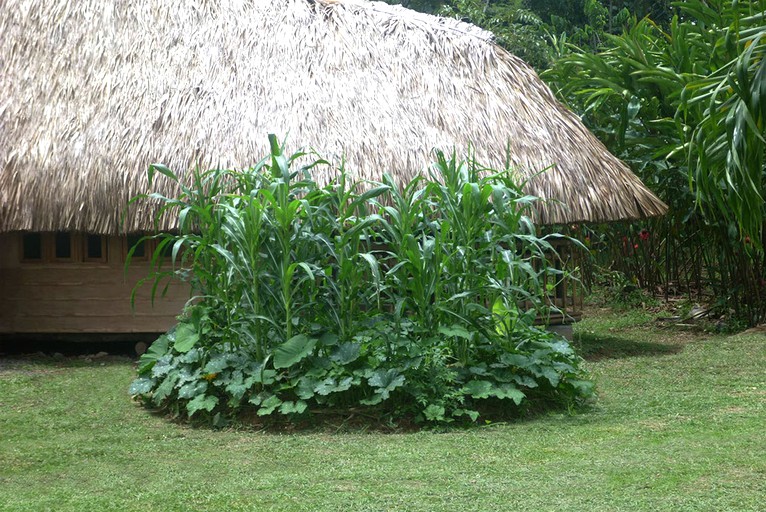 Nature Lodges (Restrepo, Meta, Colombia)