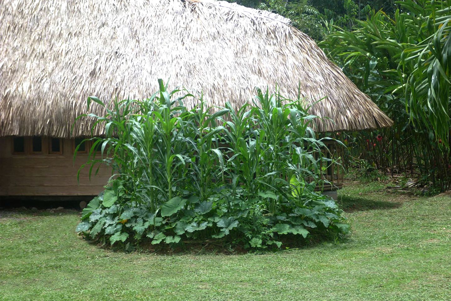 Relaxing Eco-Friendly Retreat in the Mountains of Colombia's Orinoquía Region