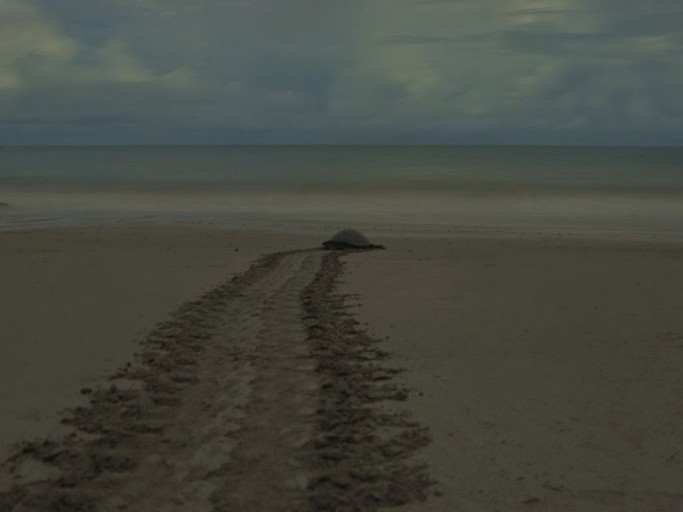 Nature Lodges (Flamingo, Guanacaste, Costa Rica)