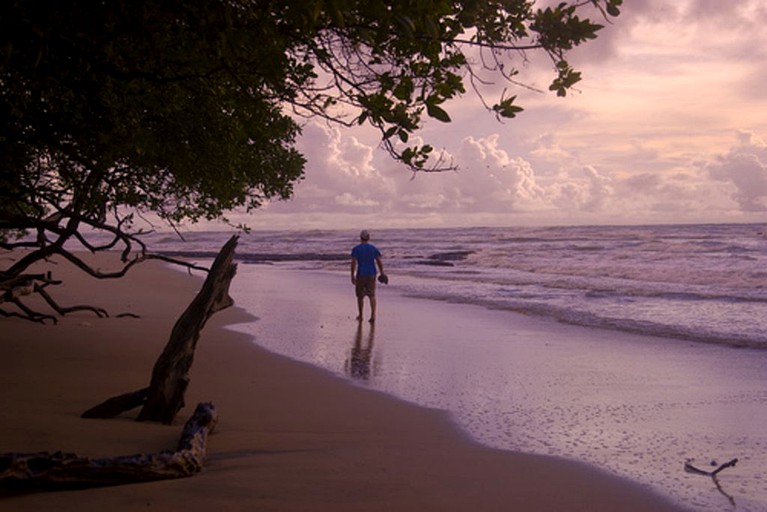 Nature Lodges (Flamingo, Guanacaste, Costa Rica)