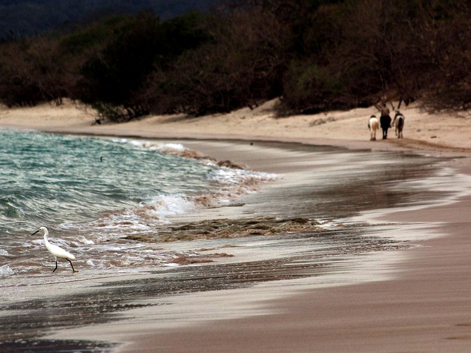 Nature Lodges (Flamingo, Guanacaste, Costa Rica)