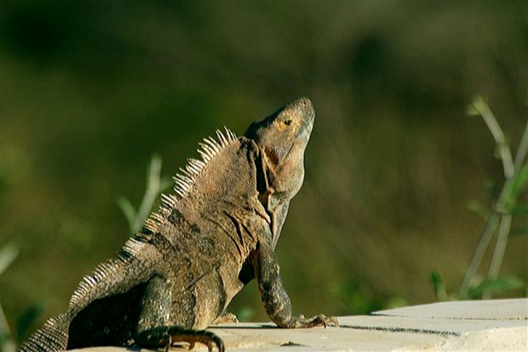 Nature Lodges (Flamingo, Guanacaste, Costa Rica)