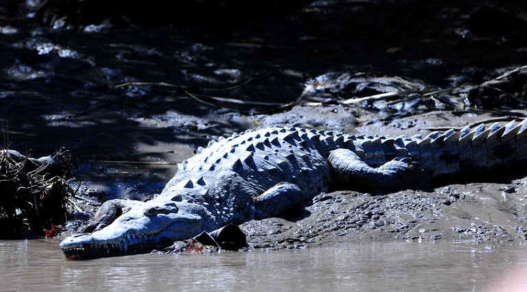 Nature Lodges (Flamingo, Guanacaste, Costa Rica)