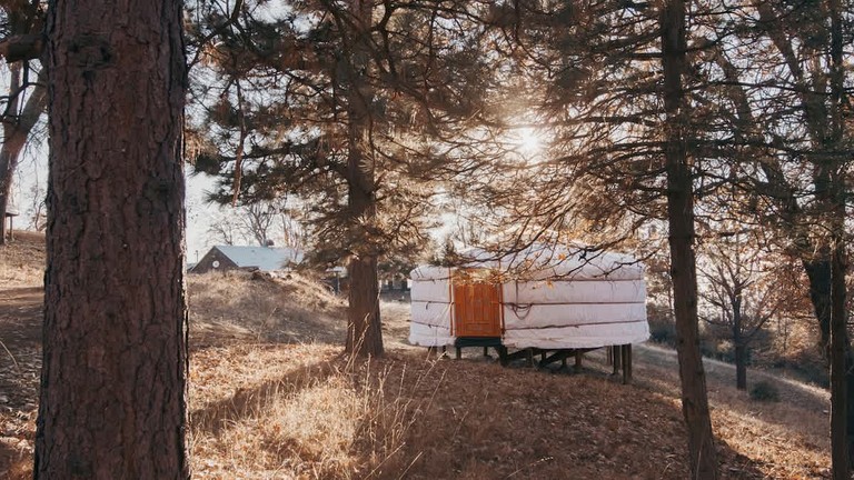 Stunning Yurt Surrounded by Forest for a Relaxing Getaway near Sequoia National Park in Dunlap, California