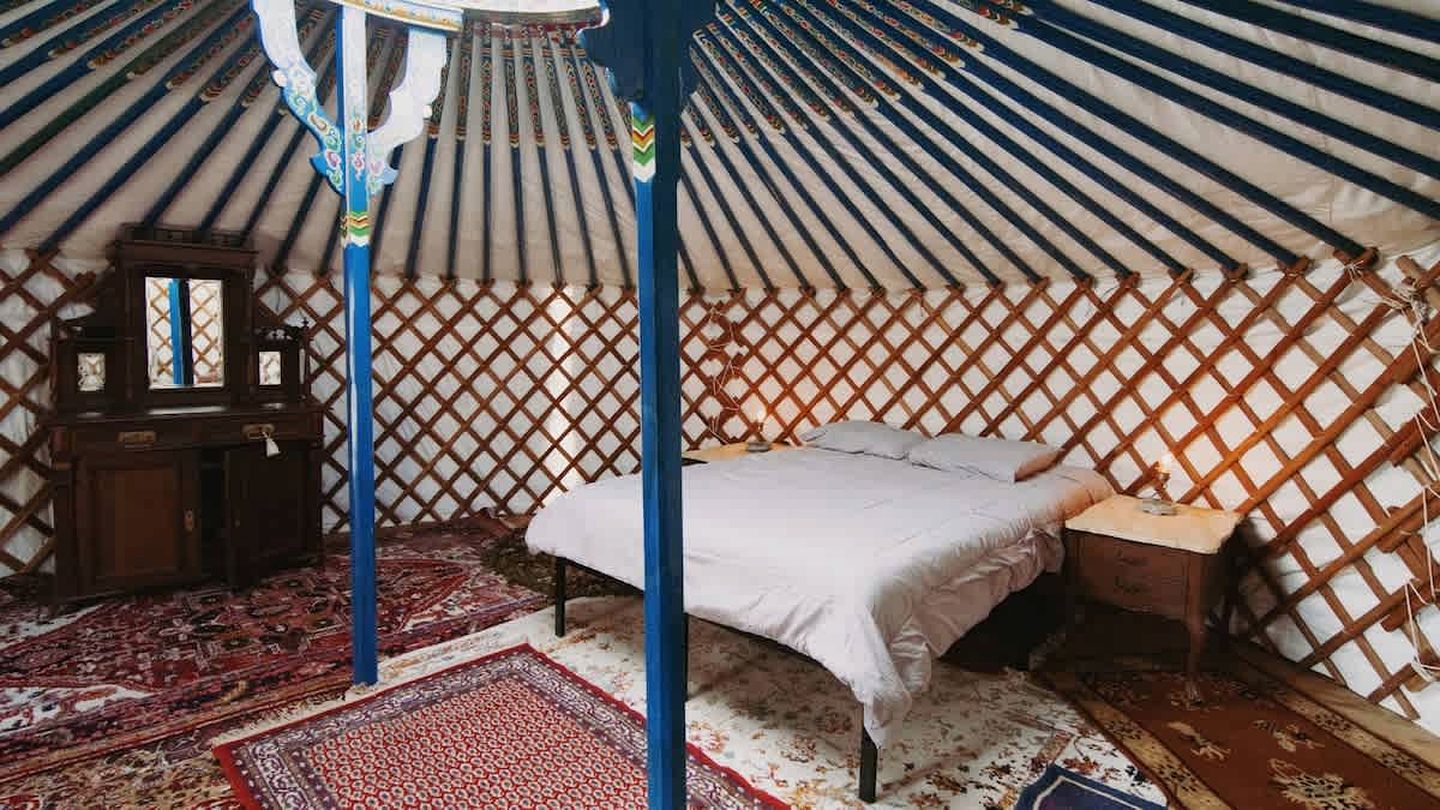 Cosy yurt at a nature retreat in Sequoia N Forest
