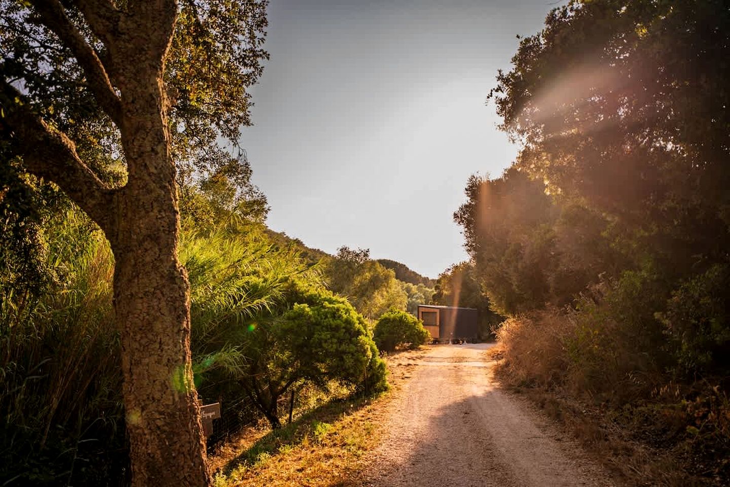 Secluded Tiny Home with Vineyard & Pond Views near the Beach, La Londe-les-Maures, France