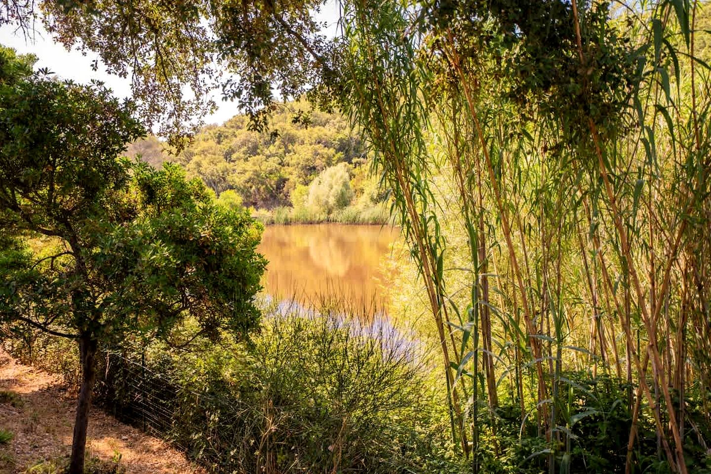 Secluded Tiny Home with Vineyard & Pond Views near the Beach, La Londe-les-Maures, France