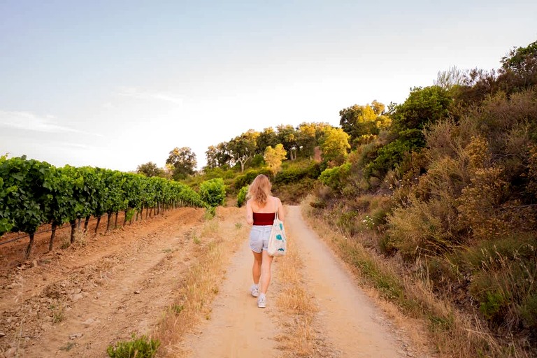 Vacation Rentals (France, --, Provence-Alpes-Côte d'Azur)