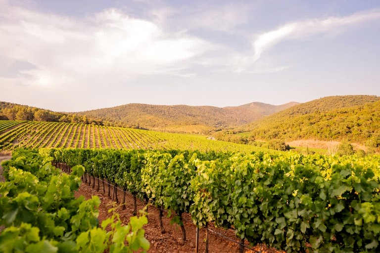 Vacation Rentals (France, --, Provence-Alpes-Côte d'Azur)