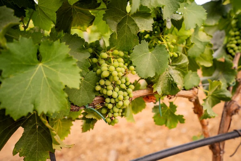 Vacation Rentals (France, --, Provence-Alpes-Côte d'Azur)