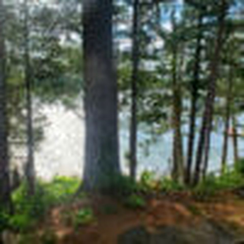 Rustic Cabin near Kawartha Highlands Provincial Park in Ontario, Canada