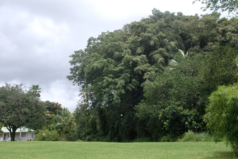 Cottages (Keaau, Hawaii, United States)