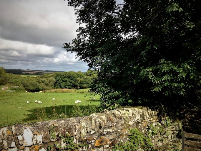 Cottages (United Kingdom, Bude, England)