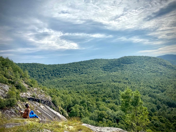 Cottages (United States of America, Lake Toxaway, North Carolina)