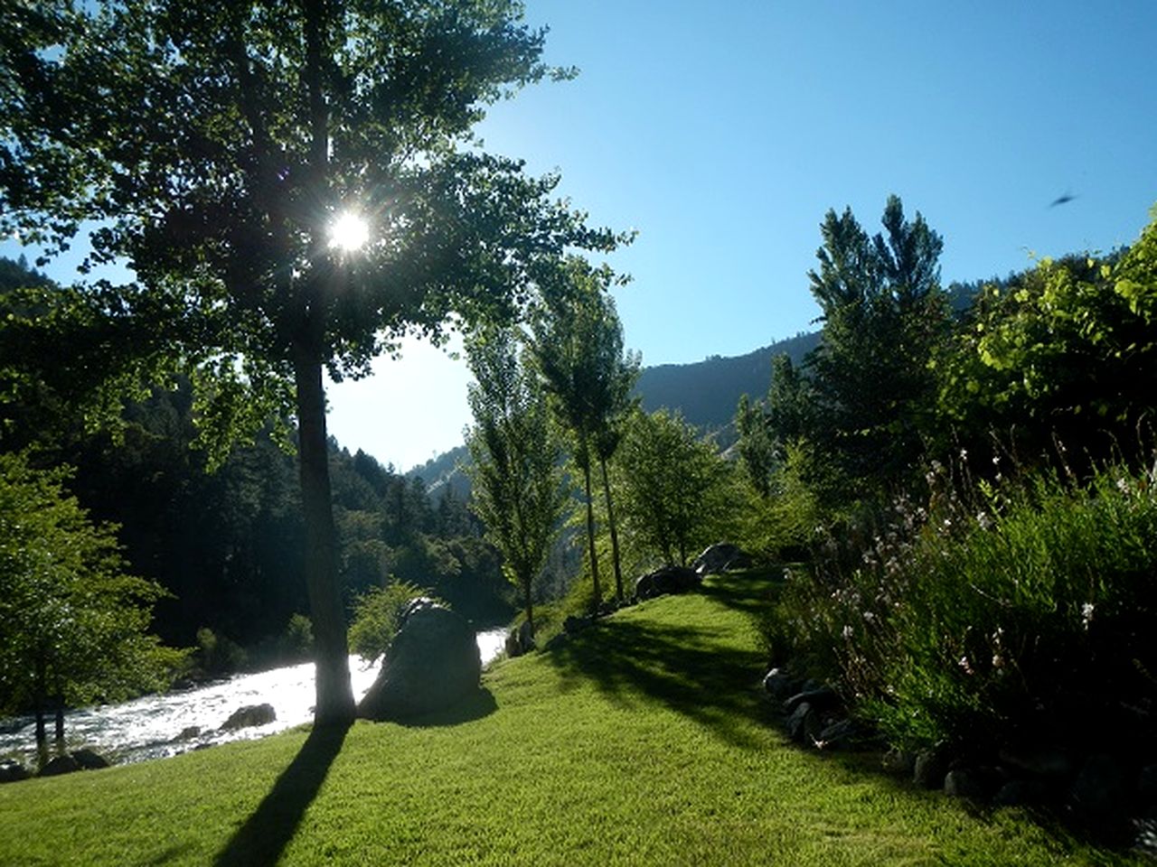 Elegant Cottage Rental on Banks of Trinity River, California