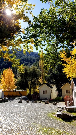 Vacation Rentals (United States of America, Big Flat, California)