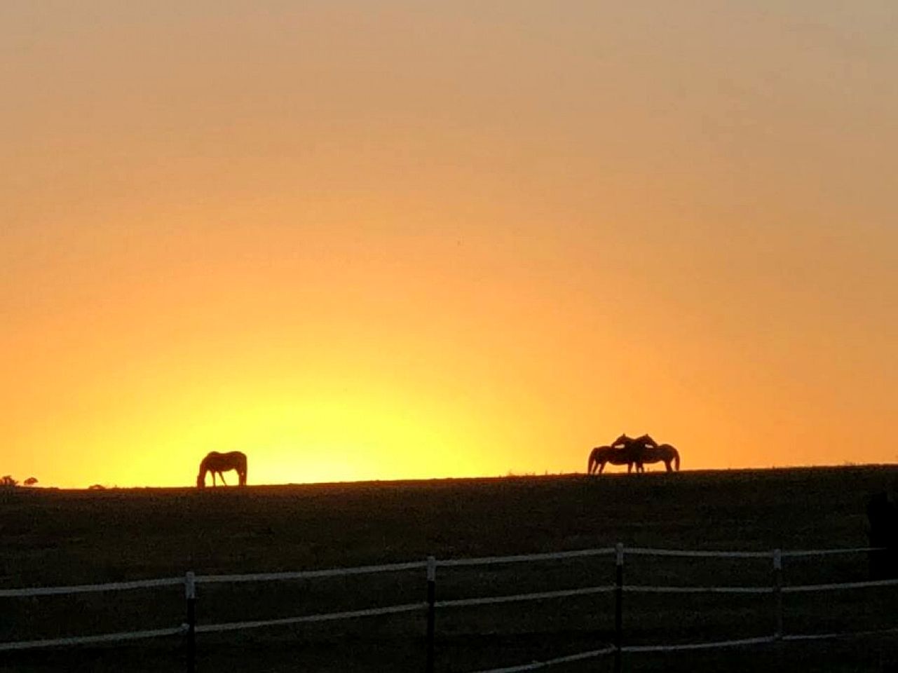 Spacious Cottage Rental on a Farm for Weekend Getaways in NSW