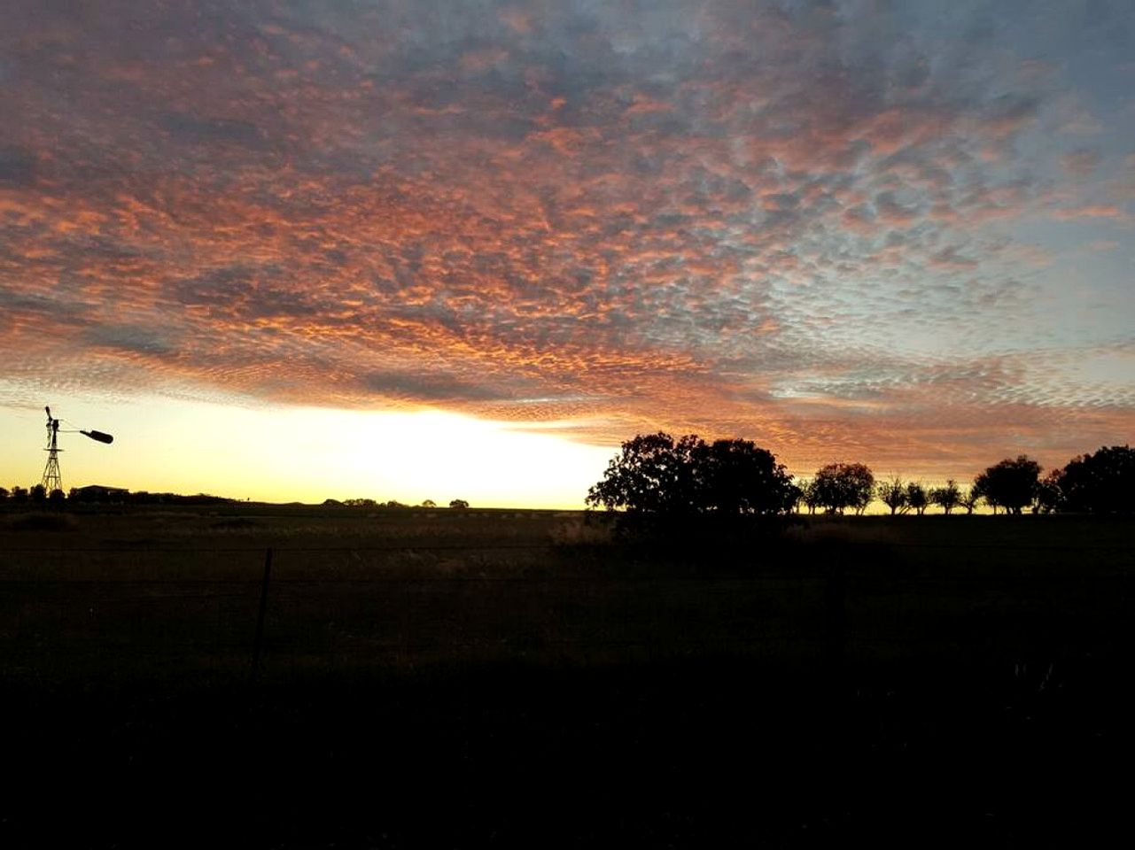 Spacious Cottage Rental on a Farm for Weekend Getaways in NSW