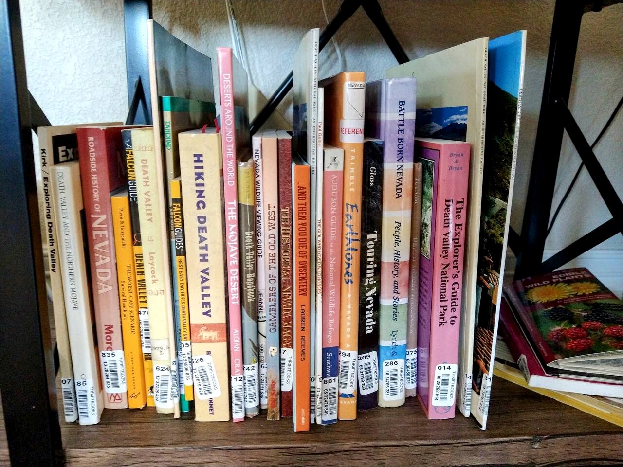 Comfortable Cottage Rental with Pool for Glamping in Nevada