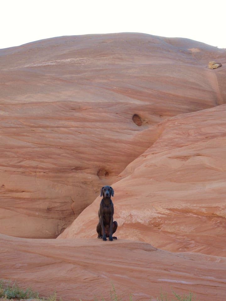 Gorgeous Cottage Vacation Rental in Page Arizona, near Antelope Canyon