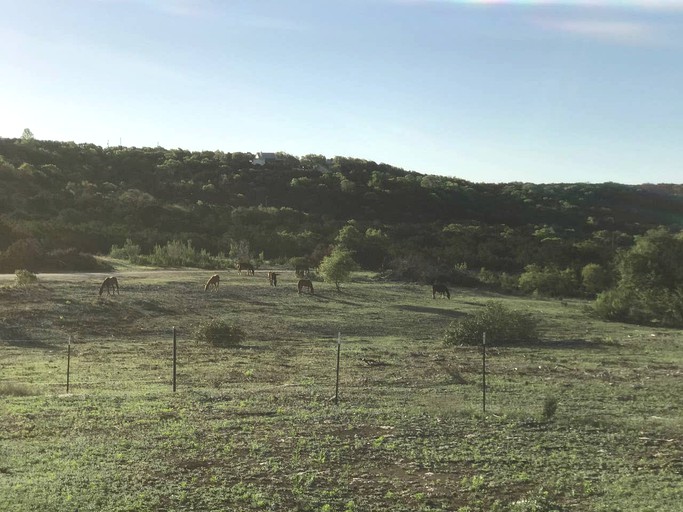 Cottages (Fischer, Texas, United States)